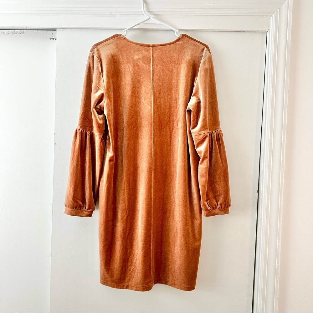 Madewell Balloon Sleeve Velvet Mini Dress - Picture 7 of 7